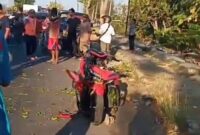Pengendara sepeda motor tewas tertimpa pohon peneduh jalan. (Dok. FIN) 
