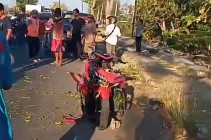 Pengendara sepeda motor tewas tertimpa pohon peneduh jalan. (Dok. FIN) 
